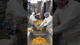 Lightweight top 👕 made from agri waste orange 🍊 peels !