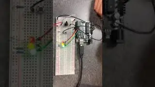 PIE Project 1 (Mateo & Ertug)
