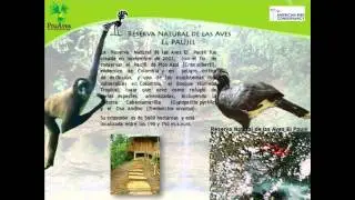 Presentacion ProAves