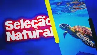 A SELEÇÃO NATURAL de Darwin || Ciências Gerais 07
