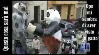 e tempo di rivederli !!!