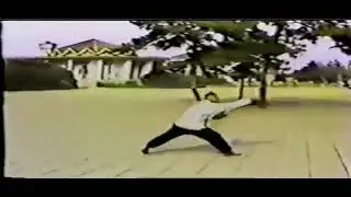 Taiji Plum Blossom Mantis Boxing by Zhang Xiushan (张修山)