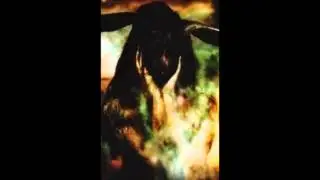 DEMONIA MUNDI Daemonium Nox