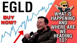 $EGLD CRYPTO HUGE UPDATE! EGLD HOLDERS WATCH OUT! EGLD FOR RETIREMENT INSURANCE? EGLD CRYPTO TRADING