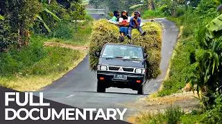 Earth Untold: Java | Hidden Tales from the World's Most Crowded Island | Free Documentary