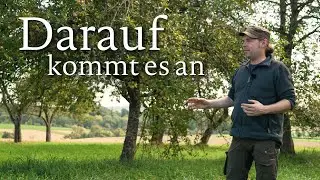 Pflege-Basics f&uuml;r die Streuobswiese: So h&auml;ltst du B&auml;ume und Wiese gesund.