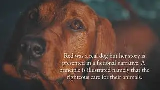 Red  by R.C. Besteder