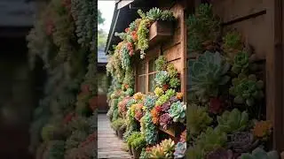 Hermosas suculentas #jard&iacute;n #puntas #suculenta