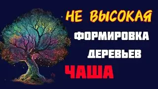 Shaping Fruit Trees into a Bowl: Low Canopy Pruning for Apples and More | Формировка чашей #обрезка