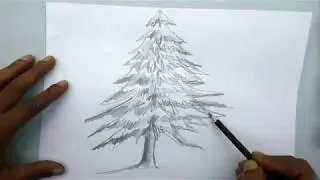 How to draw christmas tree step by step | Christmas Tree Easy Draw Tutorial