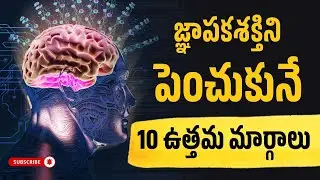 Want a Sharper Mind? These 10 Memory Tips Will Help | urchoice telugu