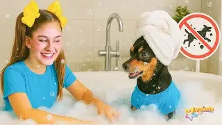 O PRIMEIRO BANHO da Cachorrinha MILI na minha BANHEIRA 