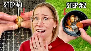 I Tried a Lazy Rock Polishing Hack… Did It Work?