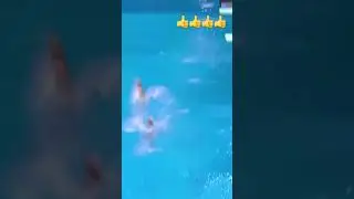 Synchro dive from the 3 m springboard #sports #diving