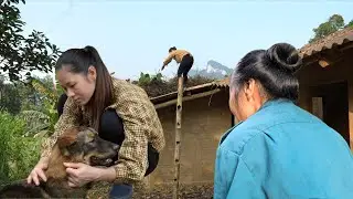 A homeless girl’s journey to start over: Thao finds strength to overcome sadness