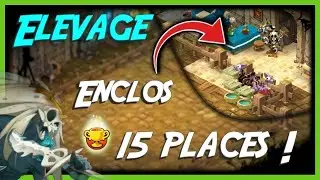 Succ&egrave;s Elevage Dofus - Part.7 - Nouvel Enclos! Purge des Dragodindes!