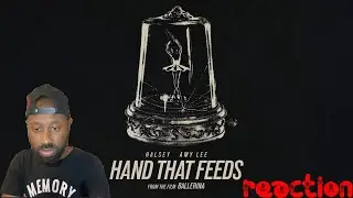 Halsey and Amy Lee hand that feeds reaction
