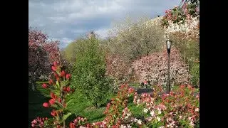 Places to see in ( New York - USA ) Riverside Park