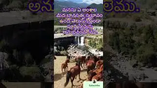మనసు ఏ అంశాల మీద బానిసత్వ స్వభావం ఉందో #freedom #freedomlive #freedoms #freedomfamily
