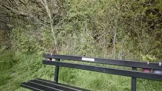 Meanwood Park Waypoints rec709 mp4