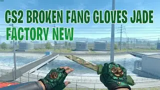 Broken Fang Gloves Jade | CS2 Skin Showcase #249