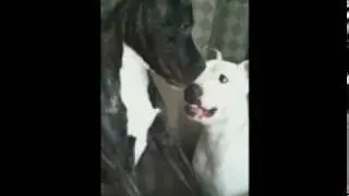 Jack vs Reagan Bombshell remix