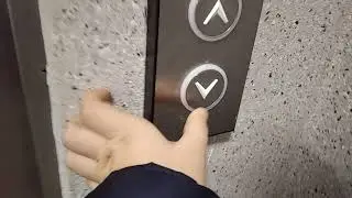 Winda ThyssenKrupp Elevator ul. Turowskiego Olsztyn