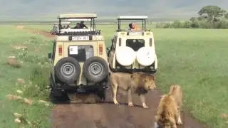 Go Ahead Tours Tanzania