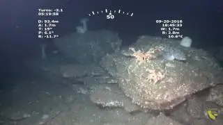 Portuguese Ledge State Marine Conservation Area