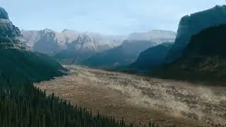 🌳 Forest Heights: Bison Herd in Motion Amidst Daylight 🦬☀️ | Natural Relaxation