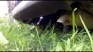 Fiat Doblo 1.9 D Probleme La Pornire