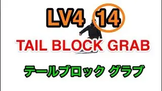 Lv4⑯【Tail　Block　F360　Nose　Grab】テールブロック　F360　ノーリーフロントロデオ　基礎　ジブ　グラトリ　3D フラットスキム