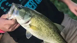 My FIRST Kansas Largemouth! | Topwater Bass Fishing in a Local Kansas Pond | Largemouth Bass Fishing