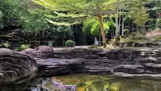 Eco Capsule Resort, Penang, Malaysia | Travel With Somya