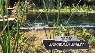 BIOPISCINAS, aprende a construirlas f&aacute;cil y r&aacute;pido