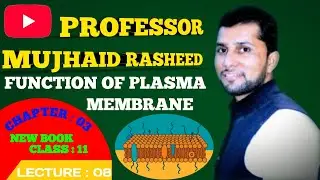 Function of plasma membrane|Class 11 Biology Chapter 3(New Book, PECTAA 2025)by Professor Mujhaid