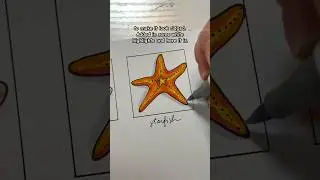 как нарисовать морскую звезду ⭐