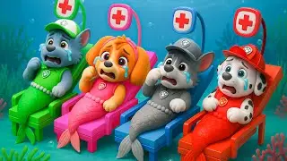 Oh NO!!! CHASE Mermaid is Missing Color?! Please Don't cry Paw Patrol! | PAW Patrol 3D Animation