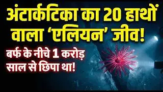 अंटार्कटिका का सबसे गहरा रहस्य | Antarctic Secret Creatures & Strawberry Feather Star Discovery