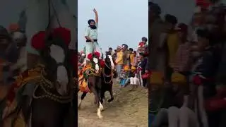 horse stunt Punjab and India public video viral