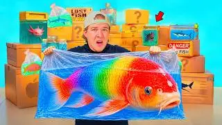 I Bought Rare Fish in Every Color...