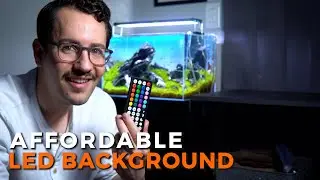 FJARDE LED Aquarium Background Review