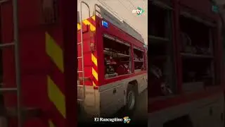 Incendio forestal en Litueche: refuerzan labores de combate