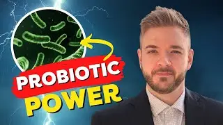 Dr. Kevin Bolek: Poultry Gut Health