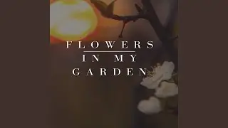 flowers In My Garden