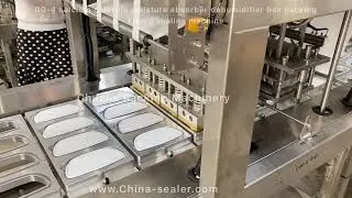 BG-4 calcium chloride moisture absorber dehumidifier box packing Filling sealing machine