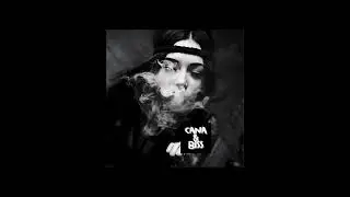 Dimitri Vegas, MOGUAI & Like Mike - Mammoth (Cana&Biss Remix)