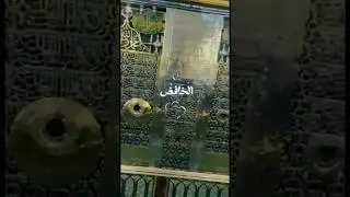 Names of Allah Subhana Wa Ta &lsquo;ala # Asma Ul Husna #  #viral video # rashid