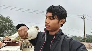 Lucky Kabootar Kay Sath Ye Kya Ho Gya😱