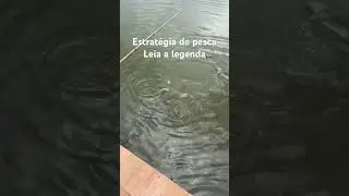 Colocamos uma isca de EVA no anzol, da mesma cor da ra&ccedil;&atilde;o para simular a ra&ccedil;&atilde;o. Veja pr&oacute;ximo v&iacute;deo.